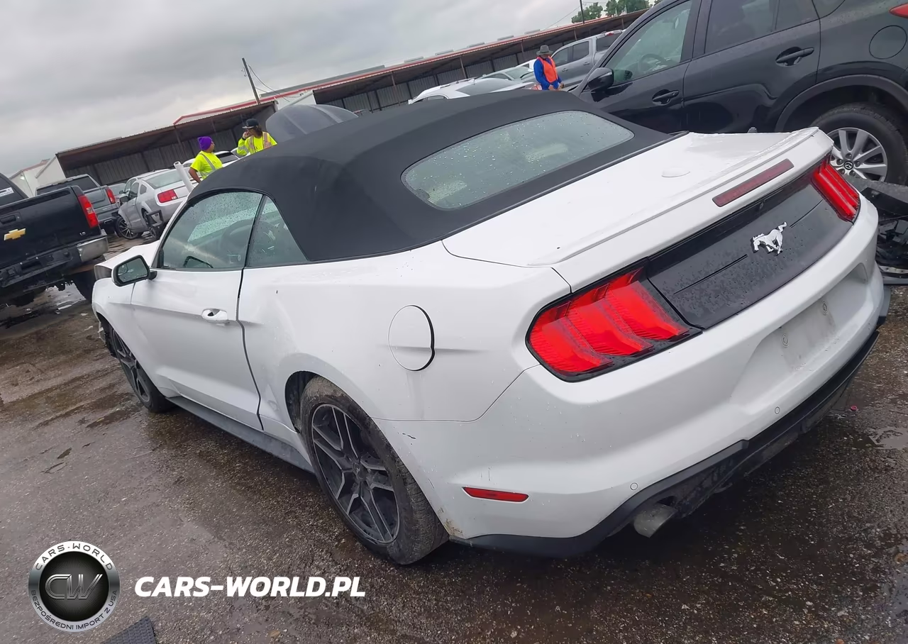 2020 Ford Mustang Ecoboost Premium VIN:1FATP8UH2L5131743 - 3
