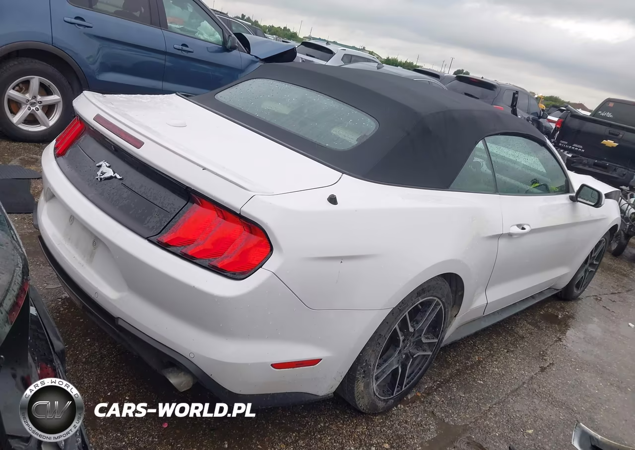 2020 Ford Mustang Ecoboost Premium VIN:1FATP8UH2L5131743 - 4