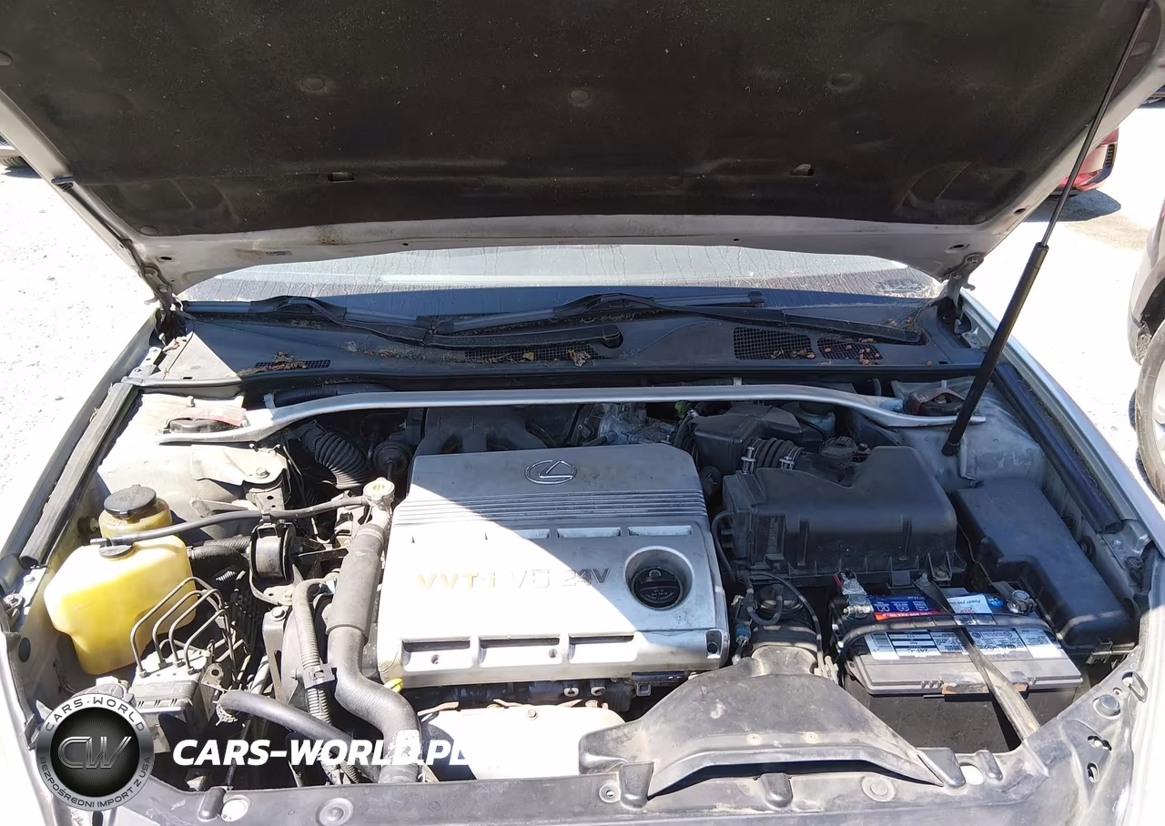 2003 Lexus Es 300 VIN:JTHBF30G636003684 - 10