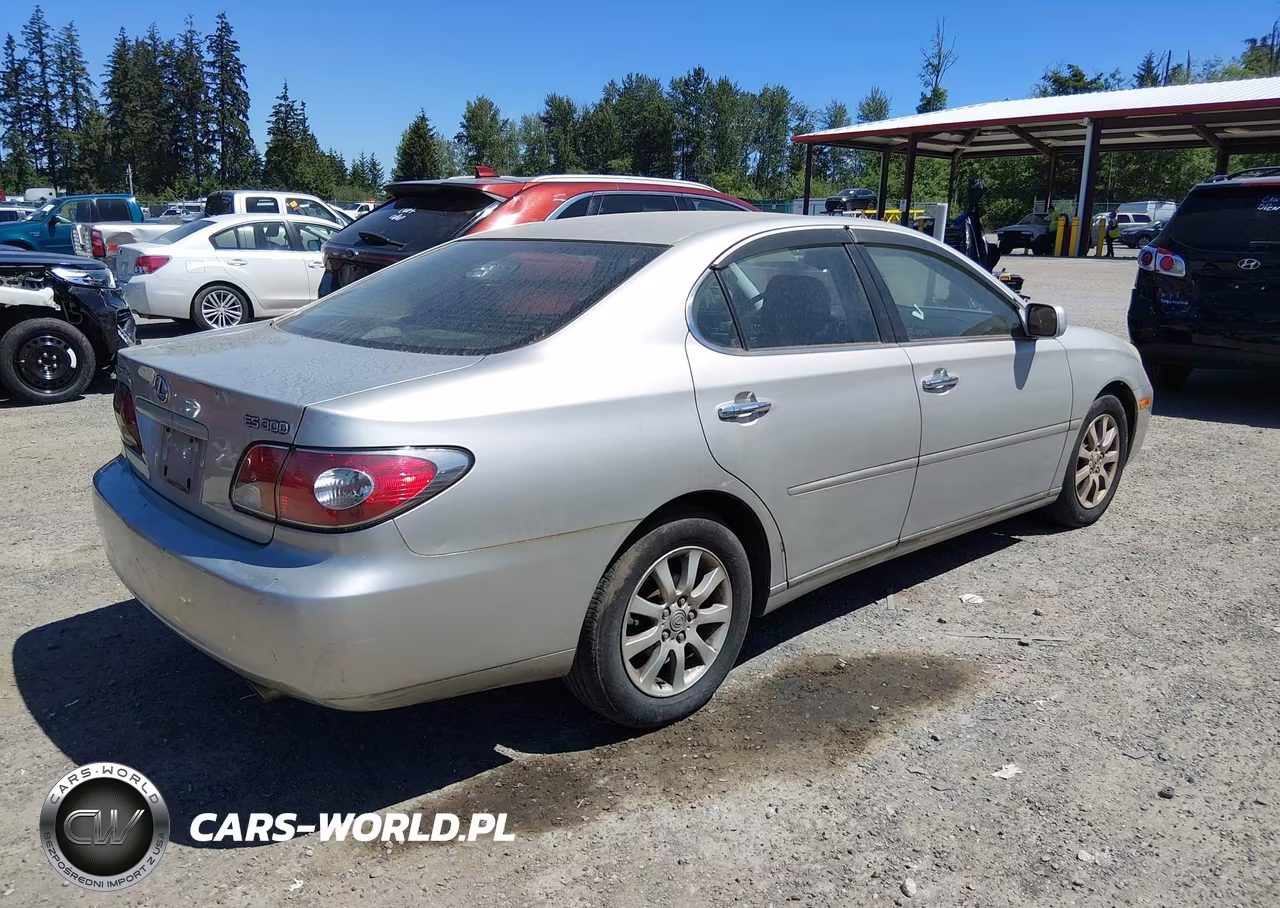 2003 Lexus Es 300 VIN:JTHBF30G636003684 - 4