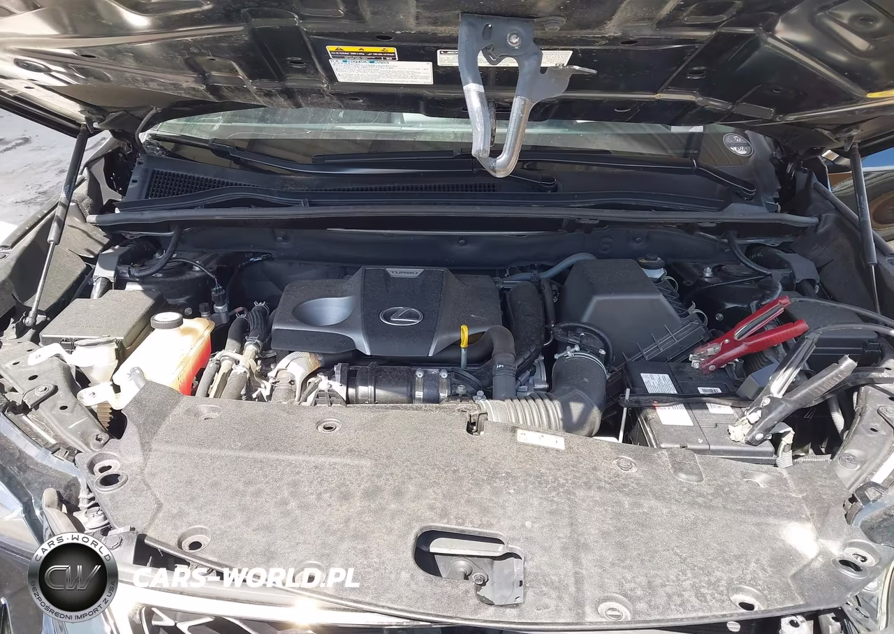 2021 Lexus Nx 300 F Sport VIN:JTJSARBZ5M2183389 - 10