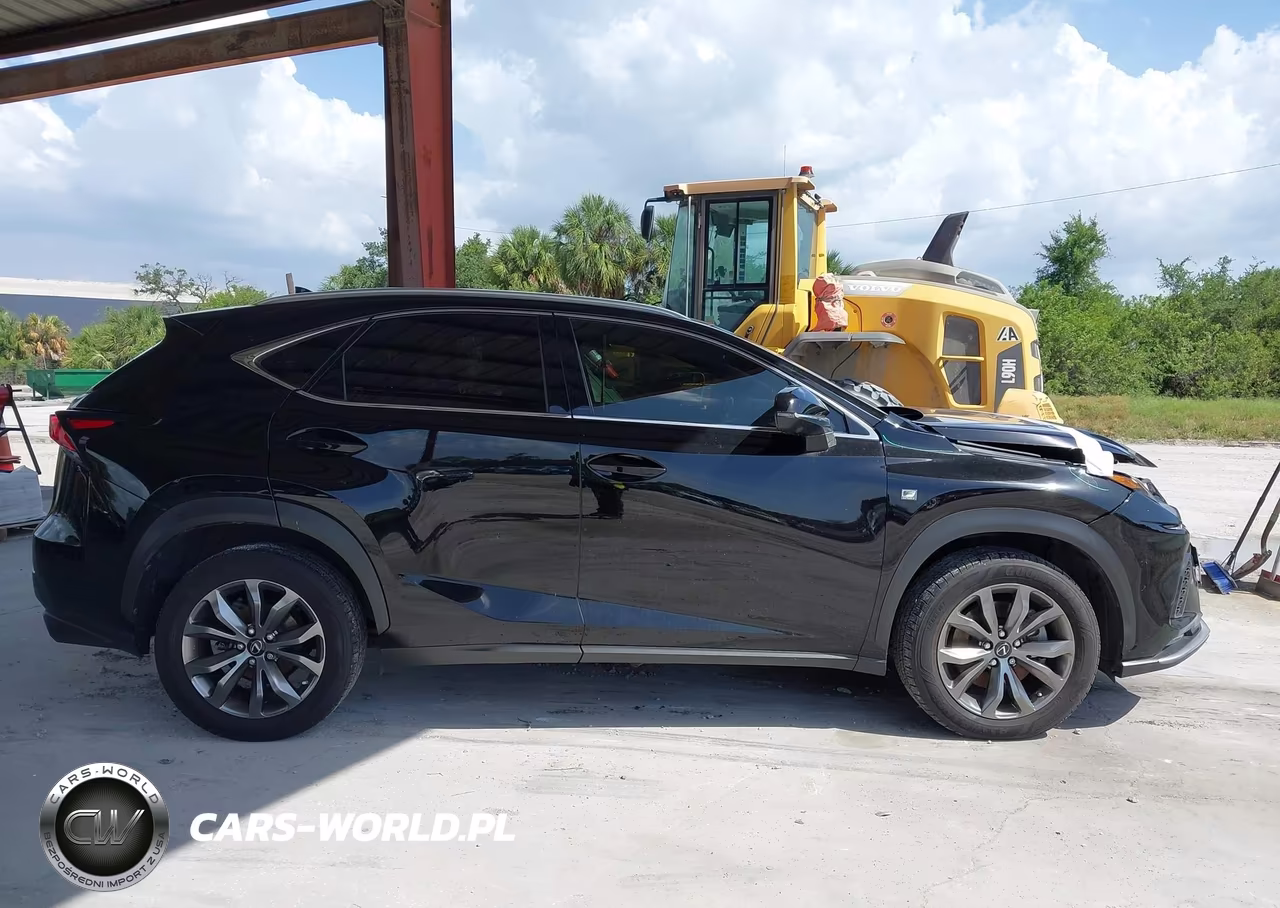 2021 Lexus Nx 300 F Sport VIN:JTJSARBZ5M2183389 - 13