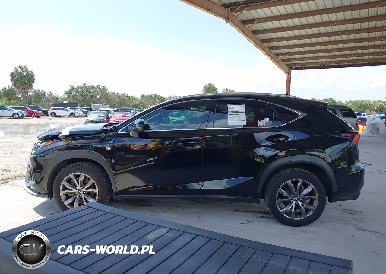 2021 Lexus Nx 300 F Sport VIN:JTJSARBZ5M2183389 - 14