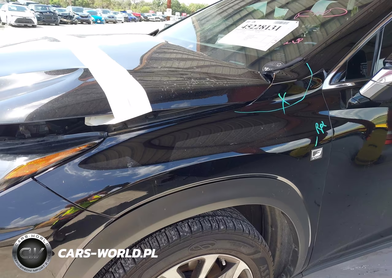 2021 Lexus Nx 300 F Sport VIN:JTJSARBZ5M2183389 - 17