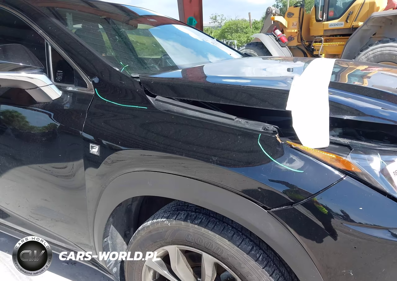 2021 Lexus Nx 300 F Sport VIN:JTJSARBZ5M2183389 - 18