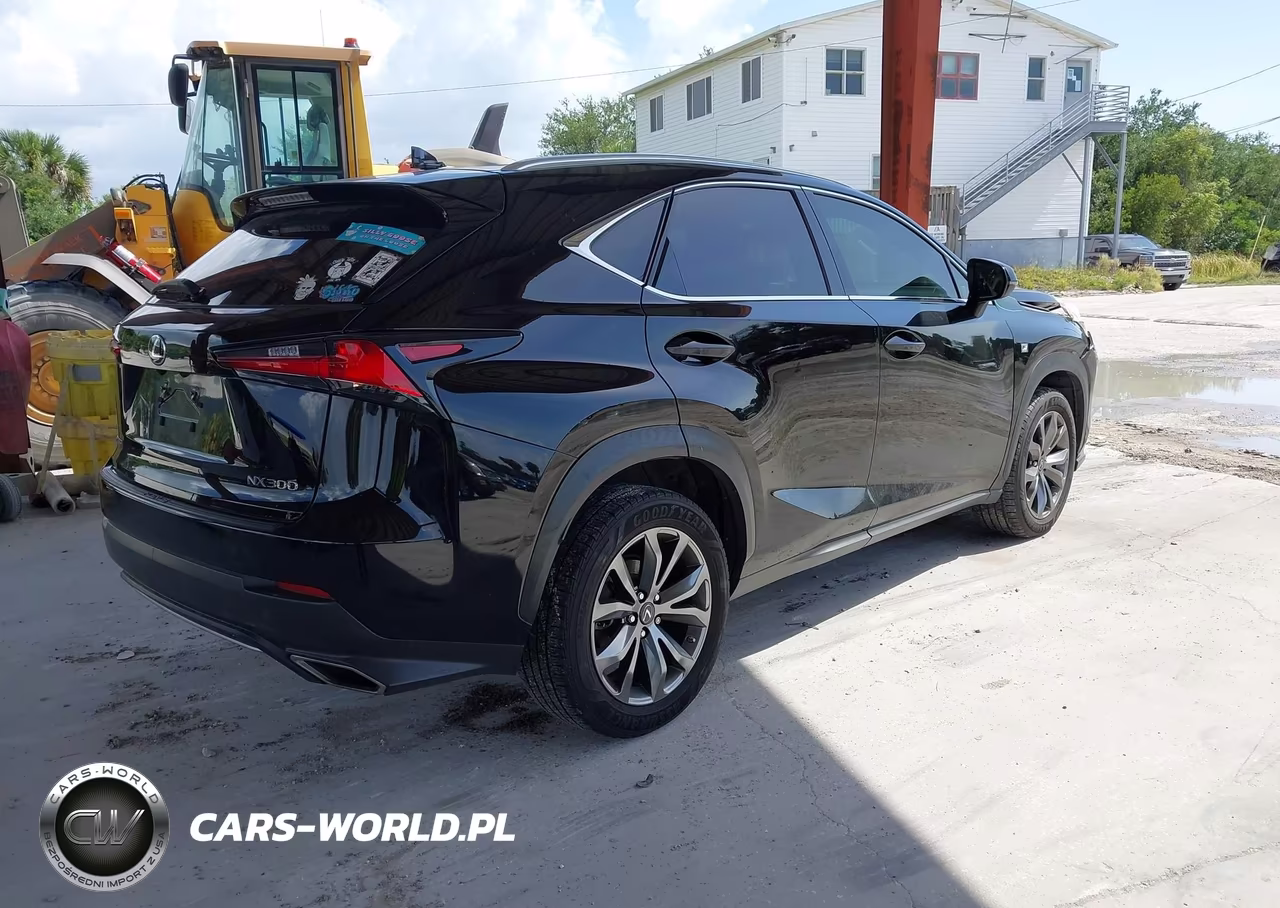 2021 Lexus Nx 300 F Sport VIN:JTJSARBZ5M2183389 - 4