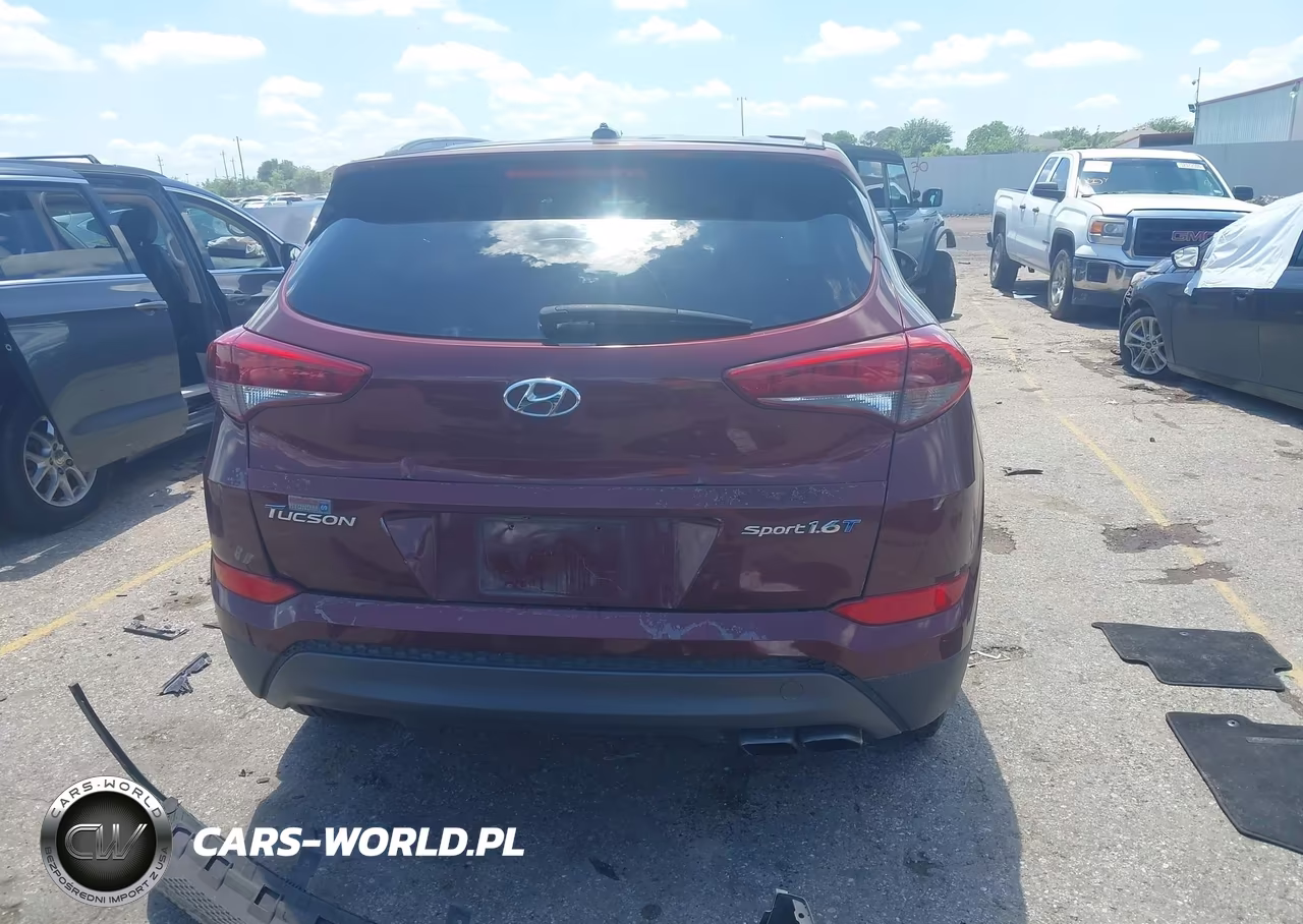 2016 Hyundai Tucson Sport VIN:KM8J33A23GU076873 - 17