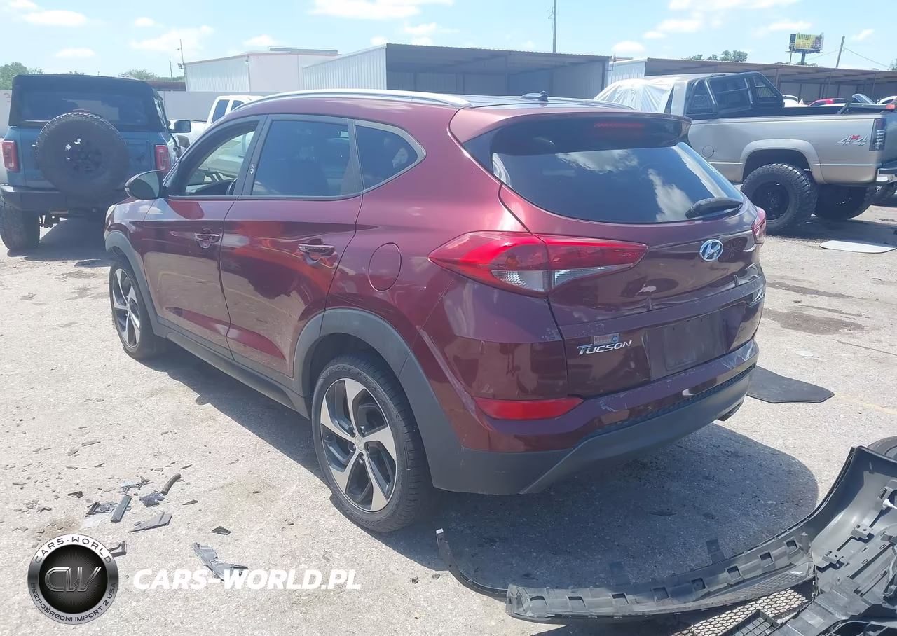 2016 Hyundai Tucson Sport VIN:KM8J33A23GU076873 - 3