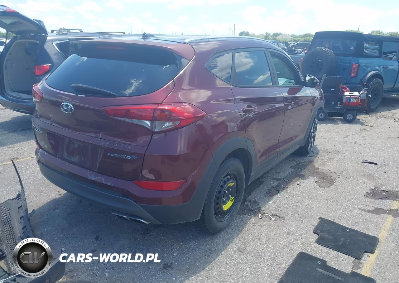 2016 Hyundai Tucson Sport VIN:KM8J33A23GU076873 - 4