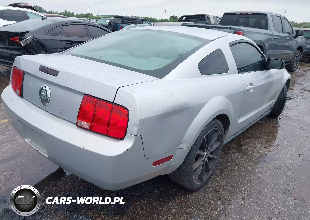 2007 Ford Mustang V6 Deluxe-V6 Premium VIN:1ZVFT80N875244100 - 4
