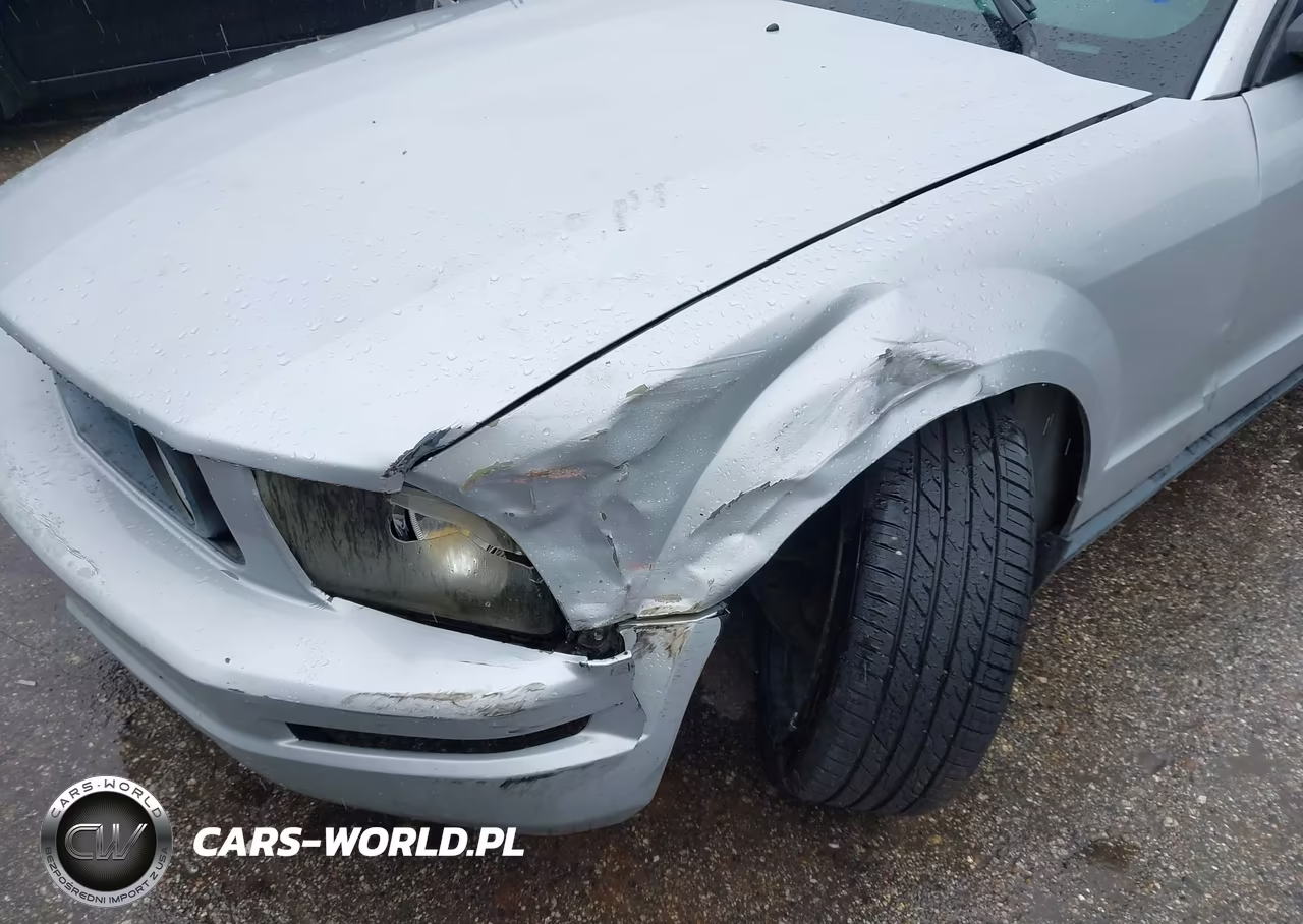 2007 Ford Mustang V6 Deluxe-V6 Premium VIN:1ZVFT80N875244100 - 6