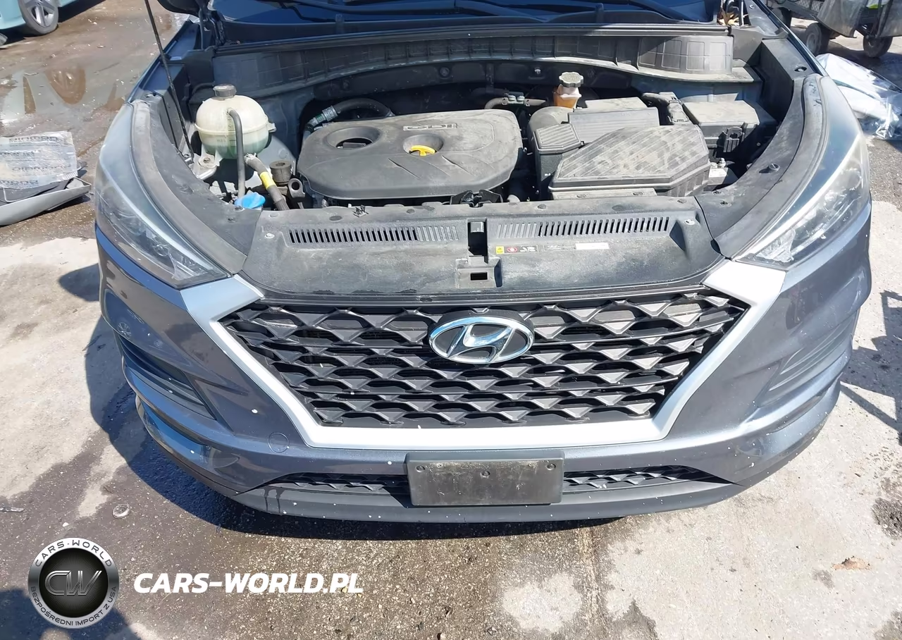 2019 Hyundai Tucson Se VIN:KM8J2CA46KU987891 - 10