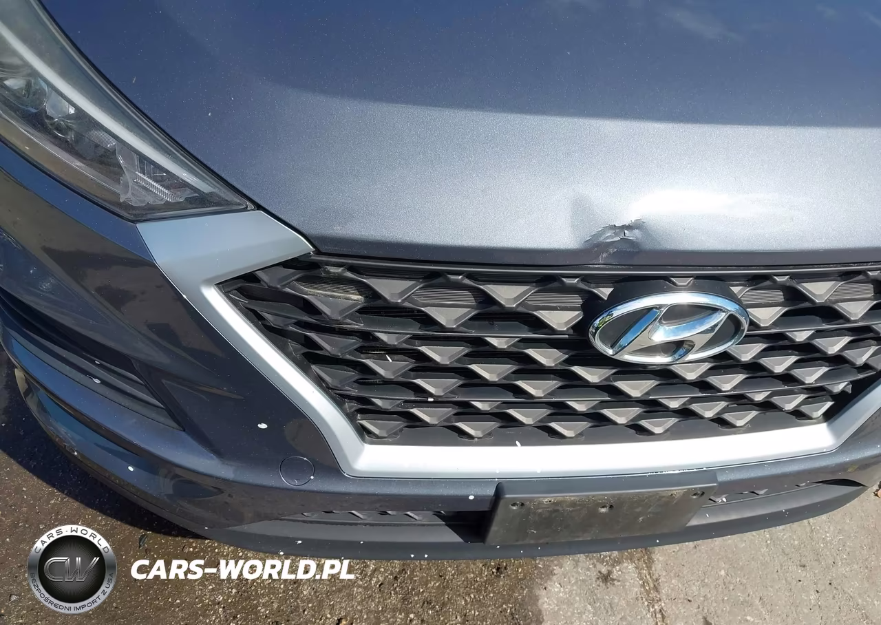 2019 Hyundai Tucson Se VIN:KM8J2CA46KU987891 - 18