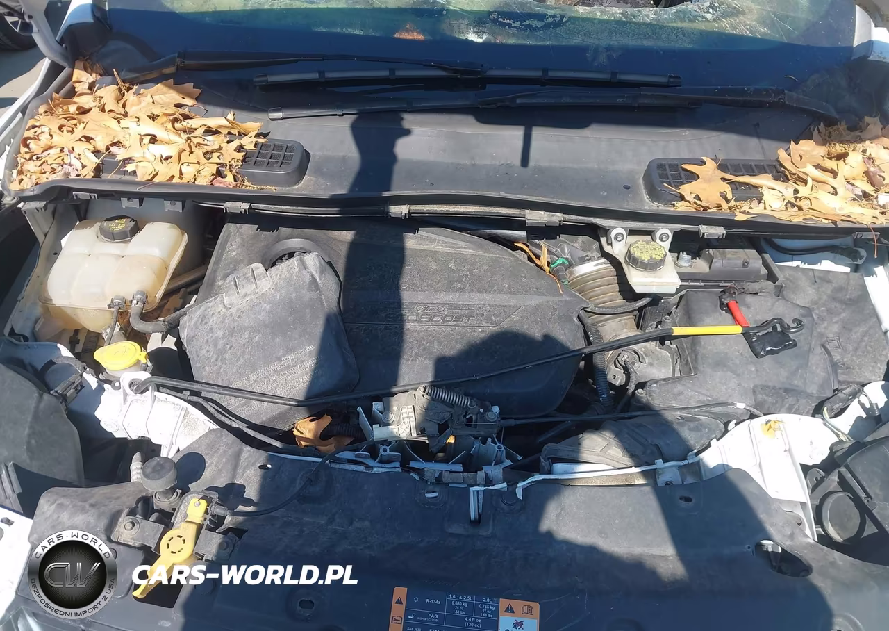 2014 Ford Escape Se VIN:1FMCU0GX2EUE37403 - 10