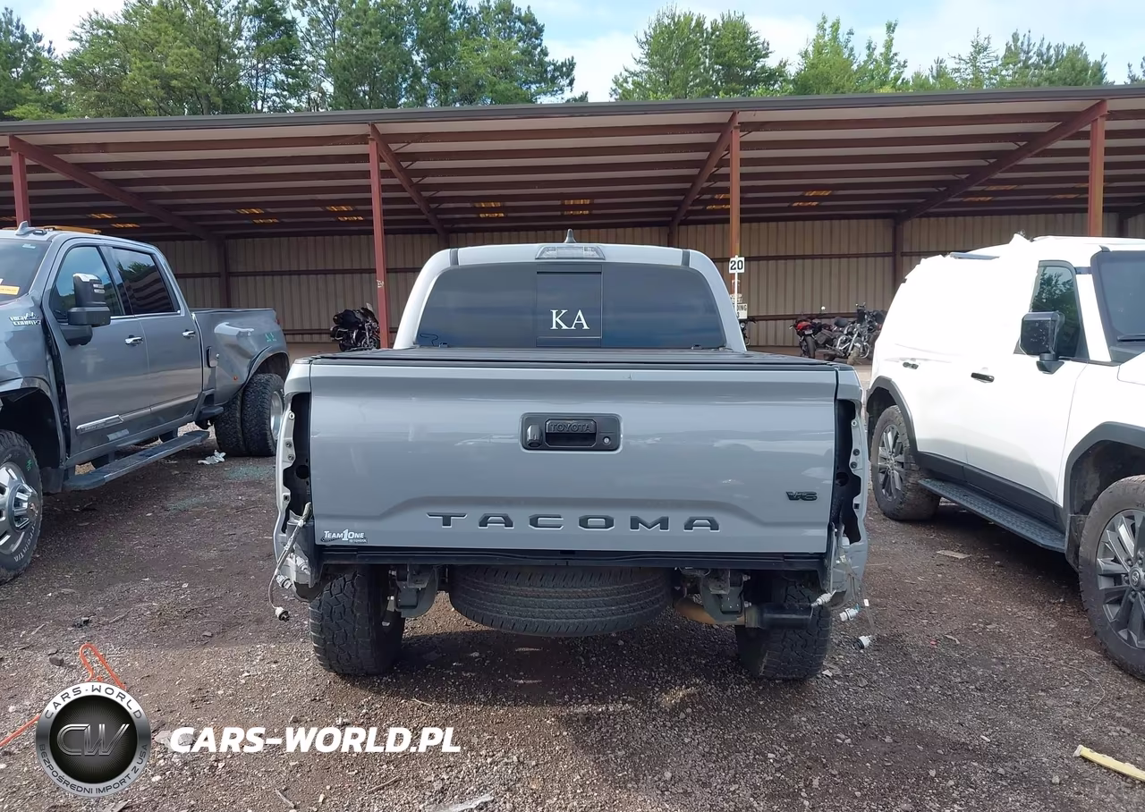 2021 Toyota Tacoma Trd Sport VIN:5TFCZ5AN0MX274418 - 17