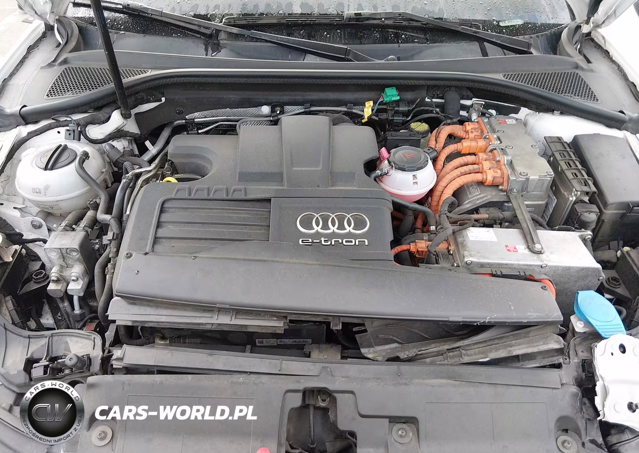 2016 Audi A3 E-Tron 1.4T Premium VIN:WAUUPBFF7GA102398 - 10