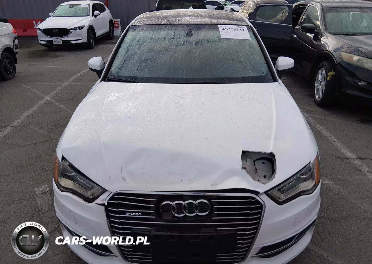 2016 Audi A3 E-Tron 1.4T Premium VIN:WAUUPBFF7GA102398 - 12