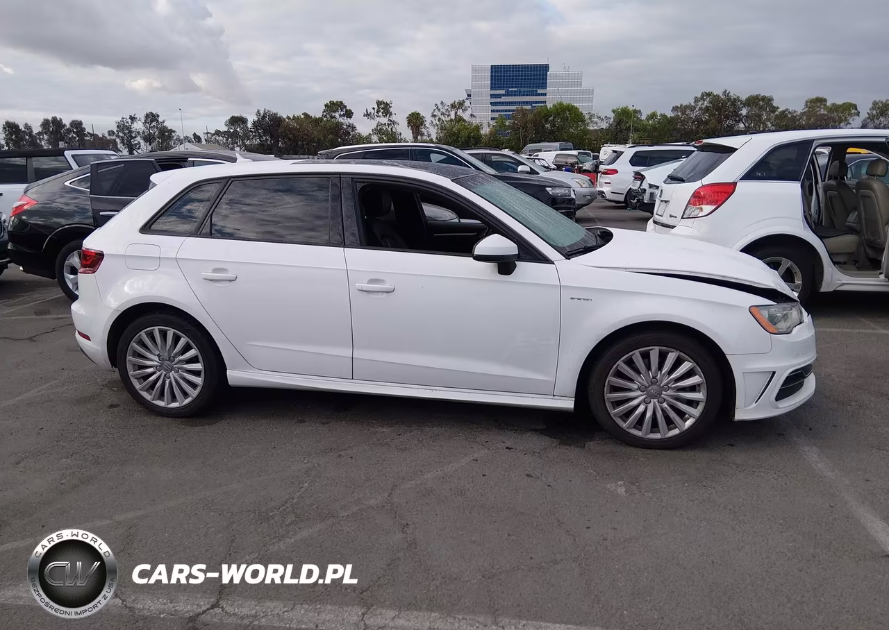 2016 Audi A3 E-Tron 1.4T Premium VIN:WAUUPBFF7GA102398 - 13