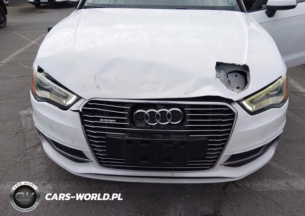 2016 Audi A3 E-Tron 1.4T Premium VIN:WAUUPBFF7GA102398 - 6
