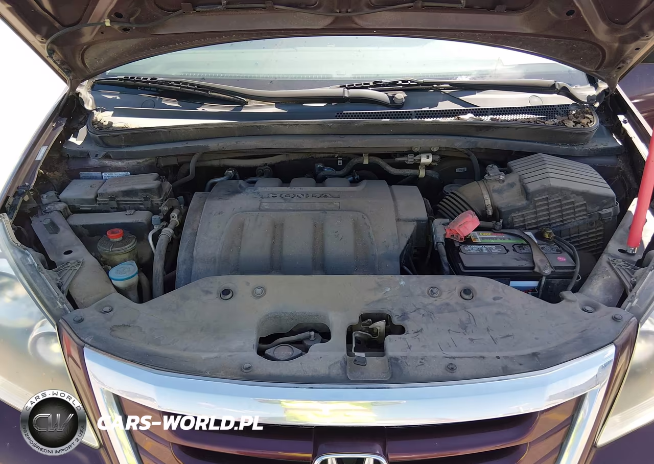 2009 Honda Odyssey Lx VIN:5FNRL38209B058629 - 10