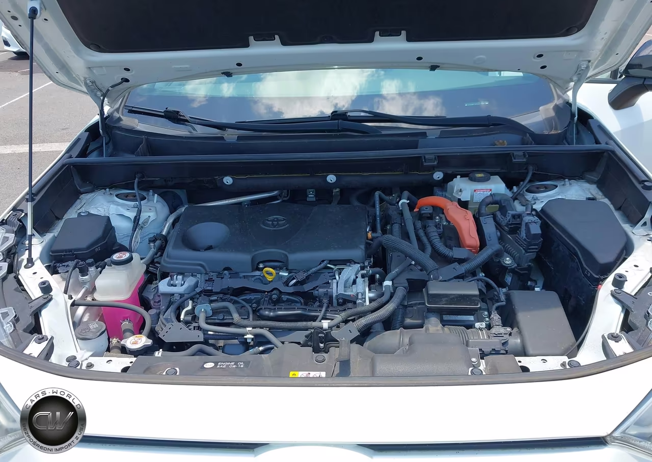 2019 Toyota Rav4 Hybrid Xse VIN:JTMEWRFVXKJ014531 - 10