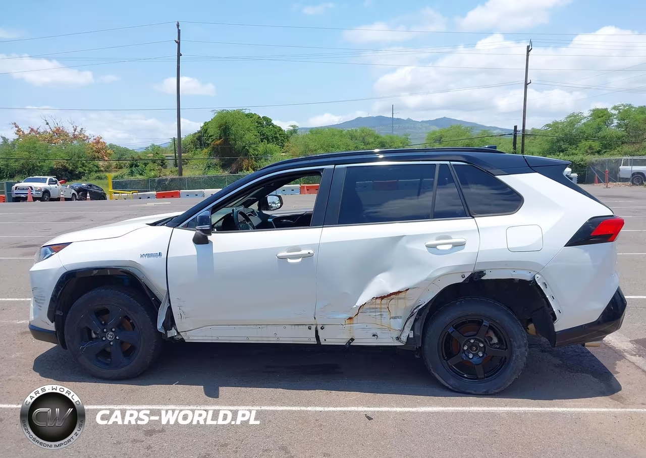 2019 Toyota Rav4 Hybrid Xse VIN:JTMEWRFVXKJ014531 - 14
