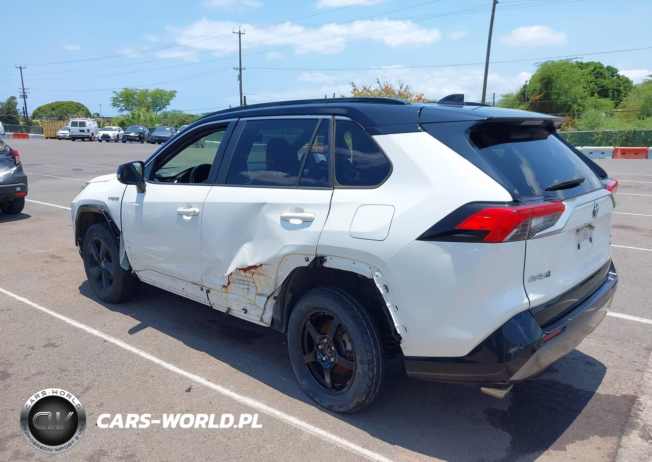 2019 Toyota Rav4 Hybrid Xse VIN:JTMEWRFVXKJ014531 - 3