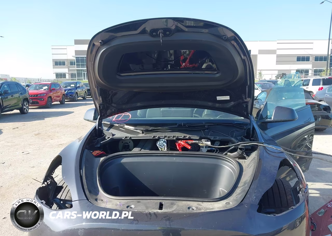 2024 Tesla Model Y Long Range Dual Motor All-Wheel Drive VIN:7SAYGDEE3RA301127 - 10