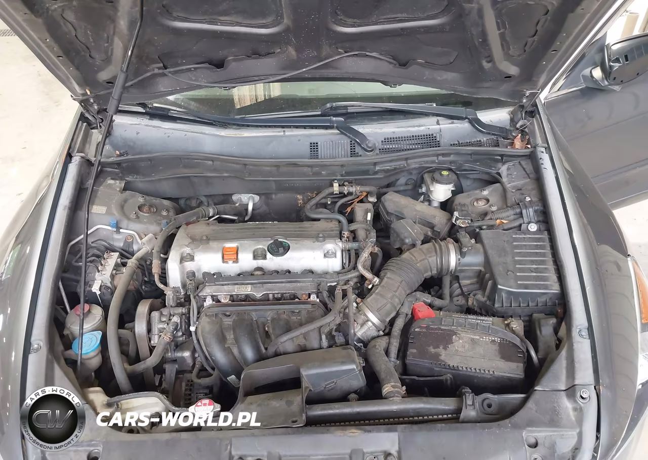 2010 Honda Accord 2.4 Lx VIN:1HGCP2F30AA008795 - 10