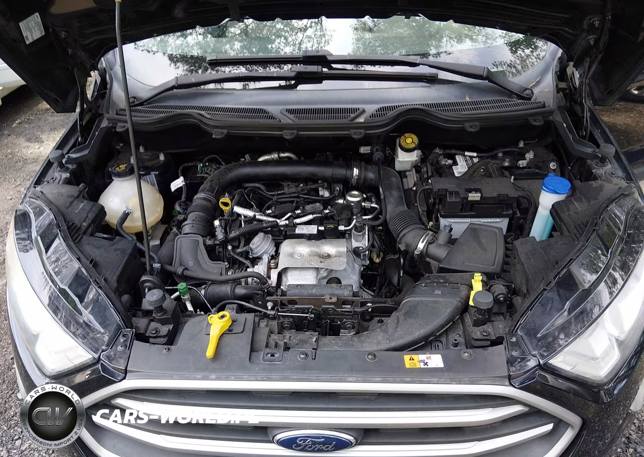 2018 Ford Ecosport Se VIN:MAJ3P1TE5JC185223 - 10
