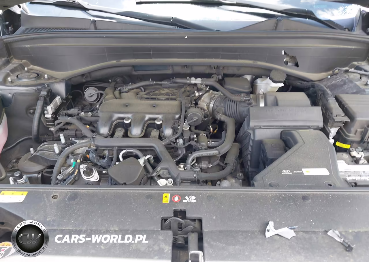 2021 Hyundai Palisade Limited VIN:KM8R5DHE0MU233726 - 10
