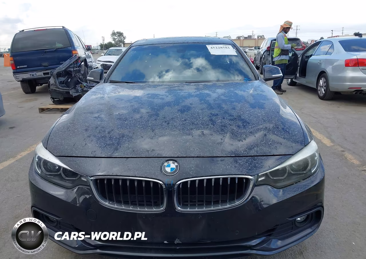 2019 BMW 430I Gran Coupe VIN:WBA4J1C52KBM13621 - 13