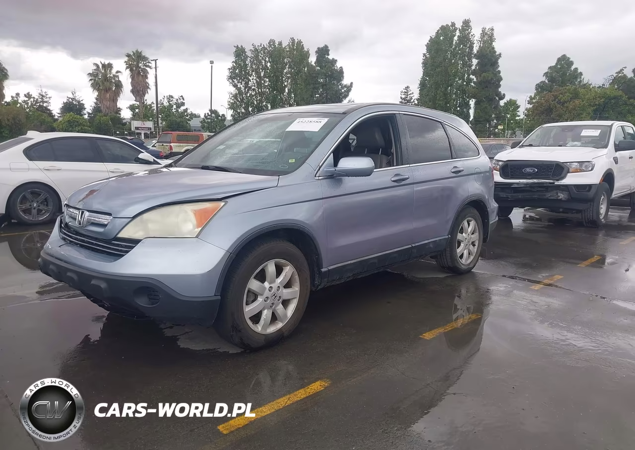 2009 HONDA CR-V EXL VIN:5J6RE487X9L067485 - 2