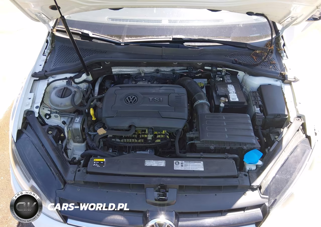 2015 Volkswagen Golf Tsi S 4-Door VIN:3VW217AU4FM013076 - 10