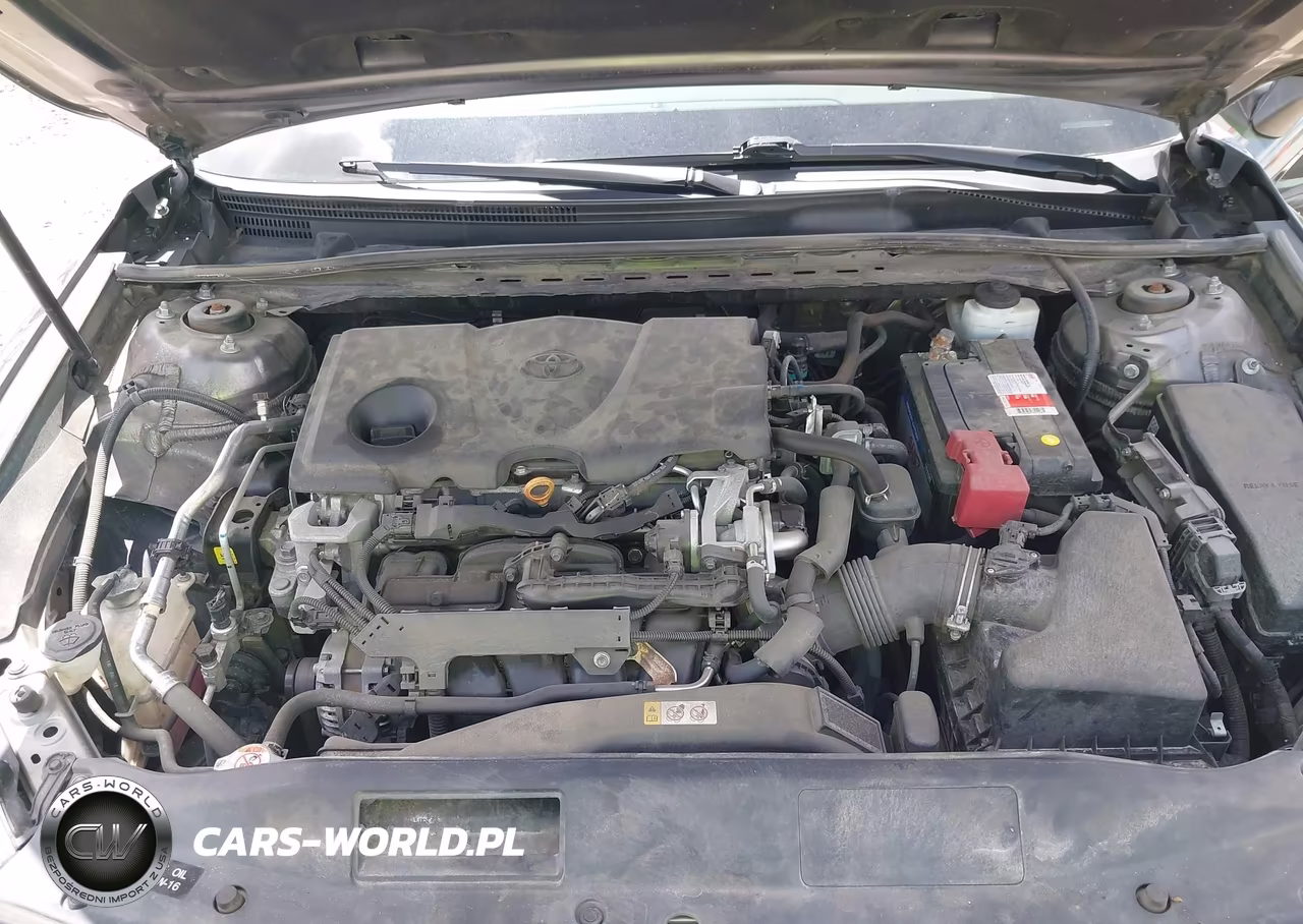2019 Toyota Camry Se VIN:4T1B11HK0KU231795 - 10