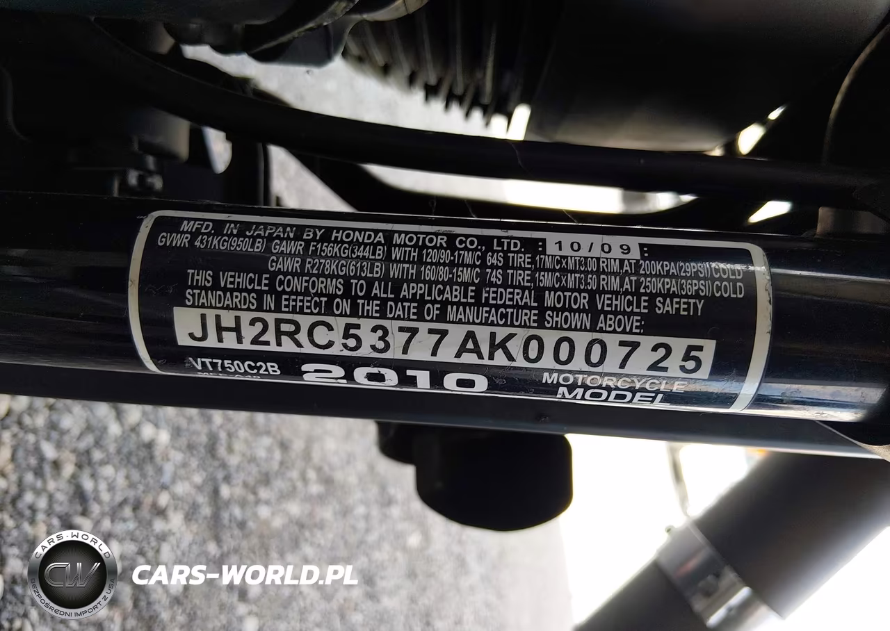 2010 Honda Vt750 C2B VIN:JH2RC5377AK000725 - 10