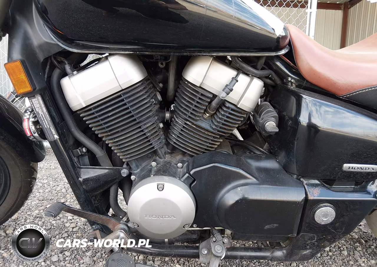 2010 Honda Vt750 C2B VIN:JH2RC5377AK000725 - 9
