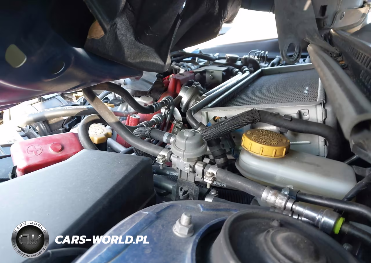 2019 Subaru Wrx Sti VIN:JF1VA2R63K9803427 - 10