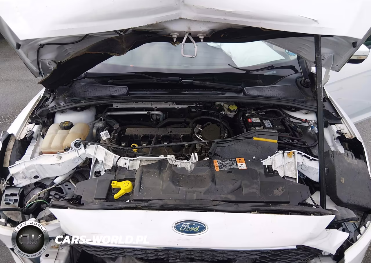 2015 Ford Focus Se VIN:1FADP3K22FL354046 - 10