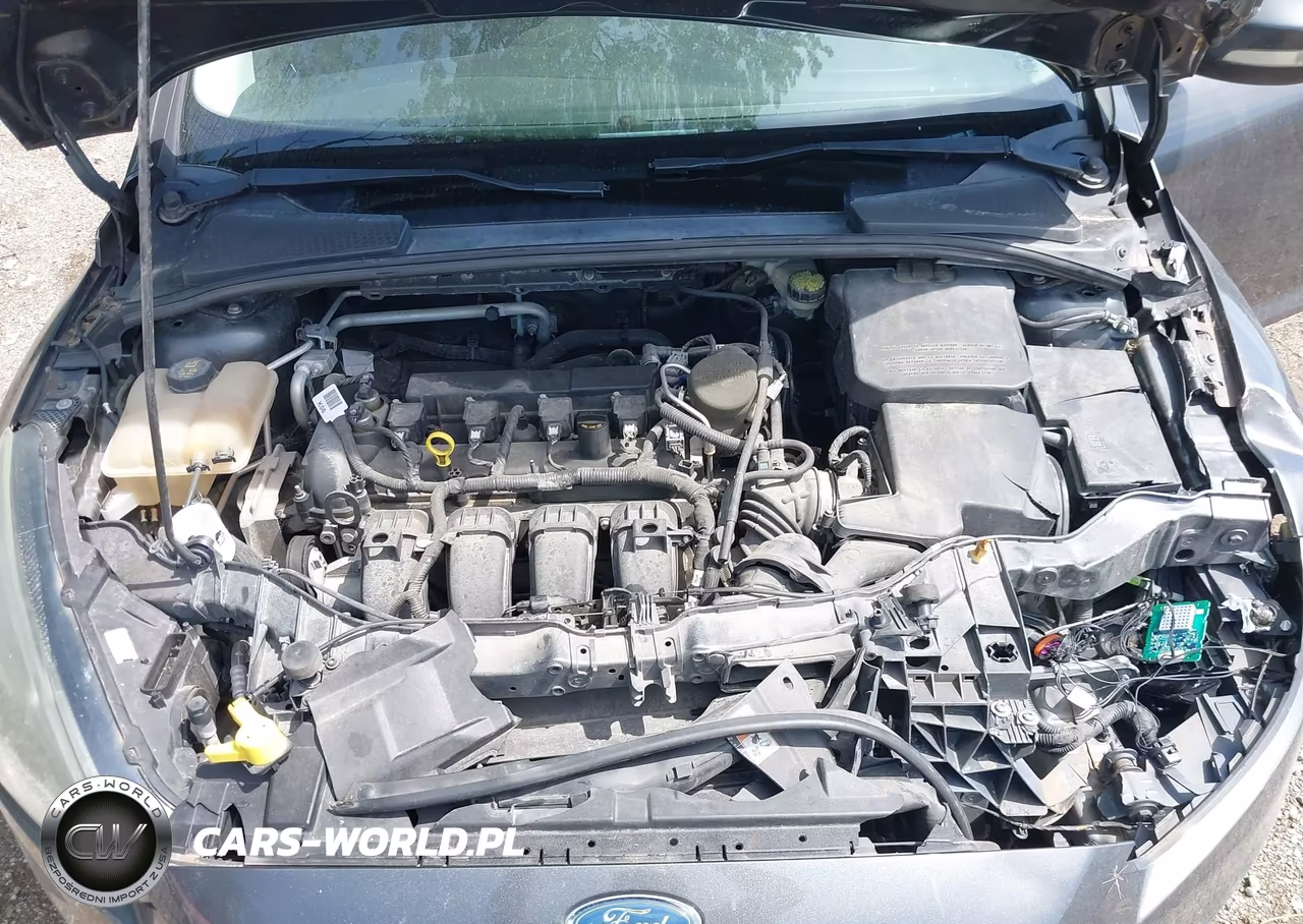 2016 Ford Focus Se VIN:1FADP3K26GL299053 - 10