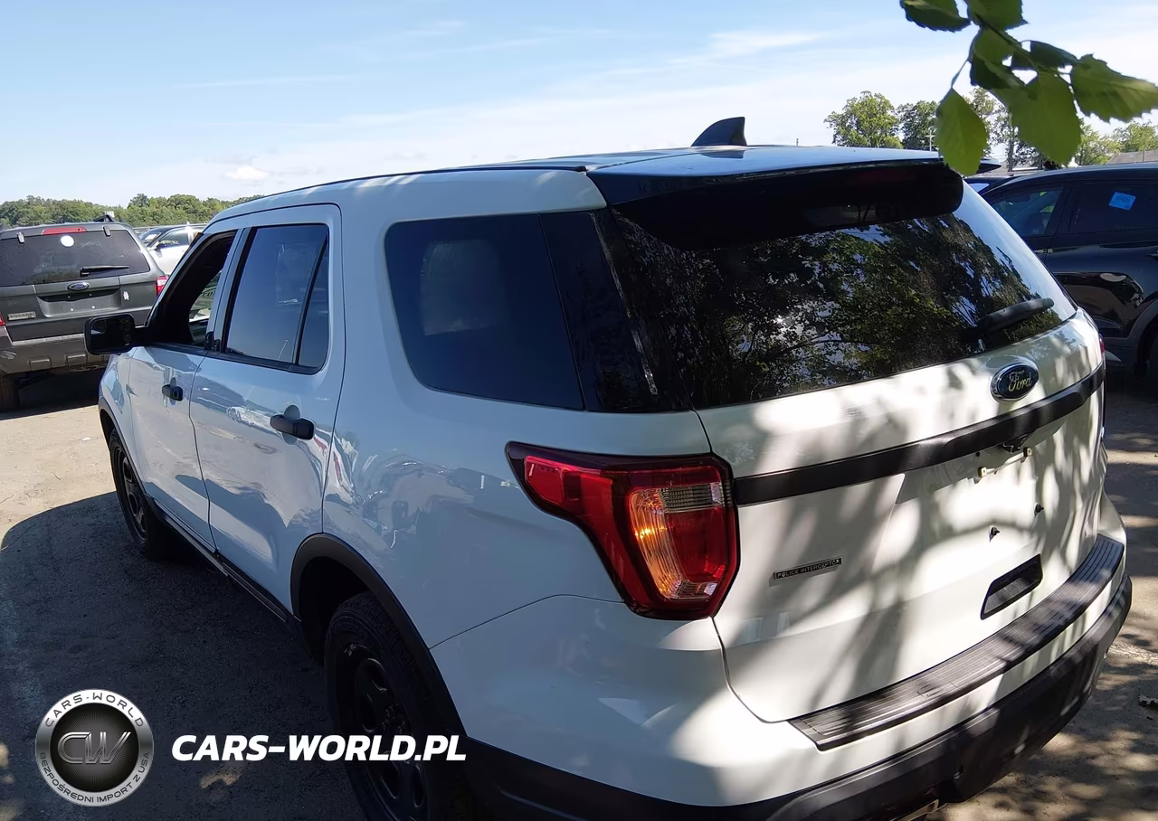 2019 Ford Police Interceptor Utility VIN:1FM5K8AR2KGA77888 - 3