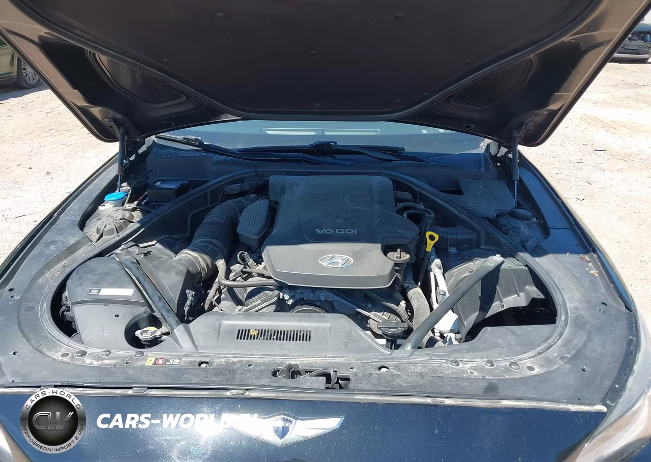 2015 Hyundai Genesis 3.8 VIN:KMHGN4JE9FU040124 - 10