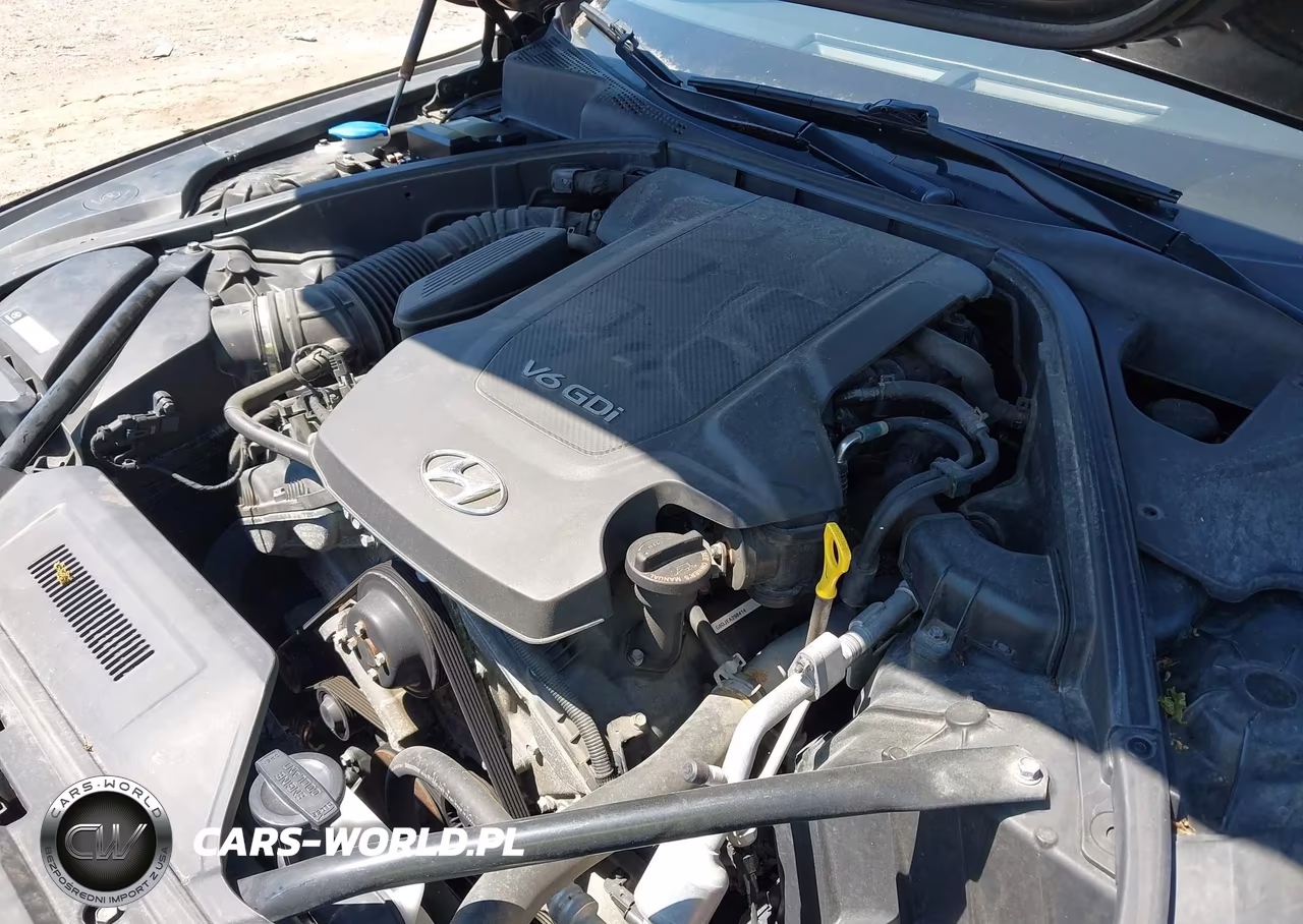 2015 Hyundai Genesis 3.8 VIN:KMHGN4JE9FU040124 - 6