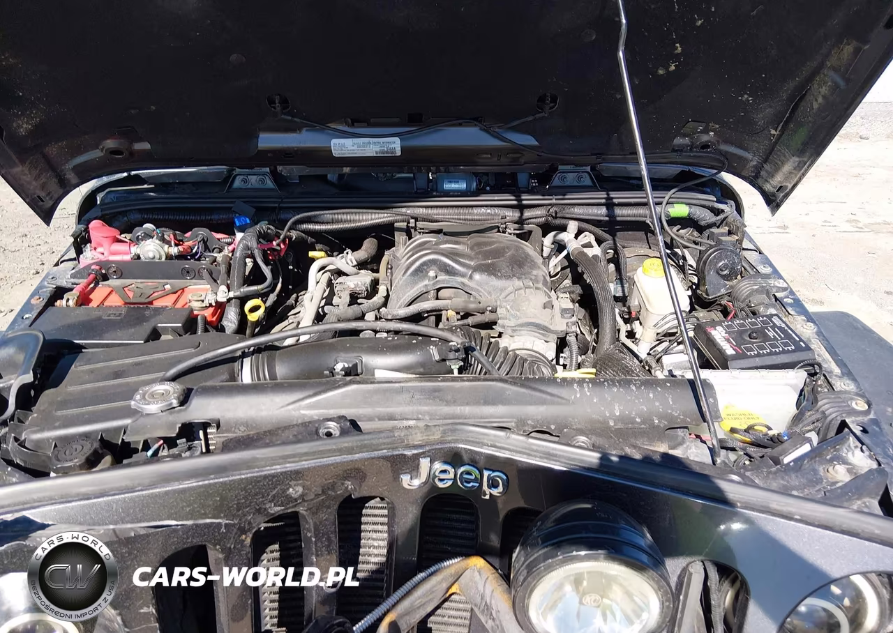 2017 Jeep Wrangler Rubicon 4X4 VIN:1C4BJWCGXHL508701 - 10