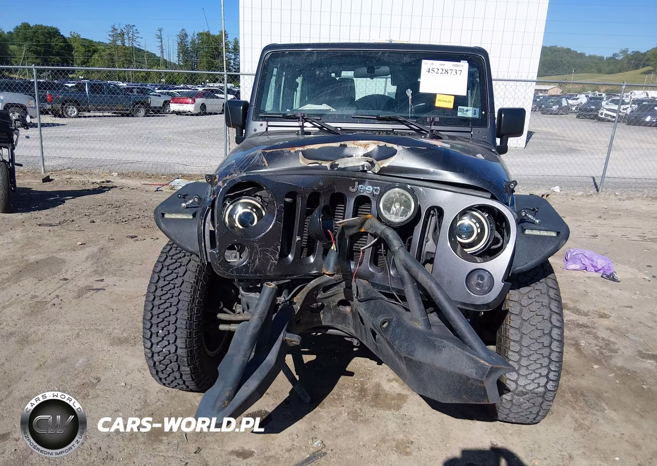 2017 Jeep Wrangler Rubicon 4X4 VIN:1C4BJWCGXHL508701 - 13