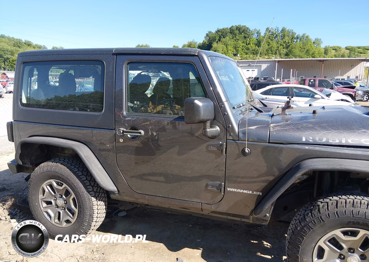 2017 Jeep Wrangler Rubicon 4X4 VIN:1C4BJWCGXHL508701 - 14