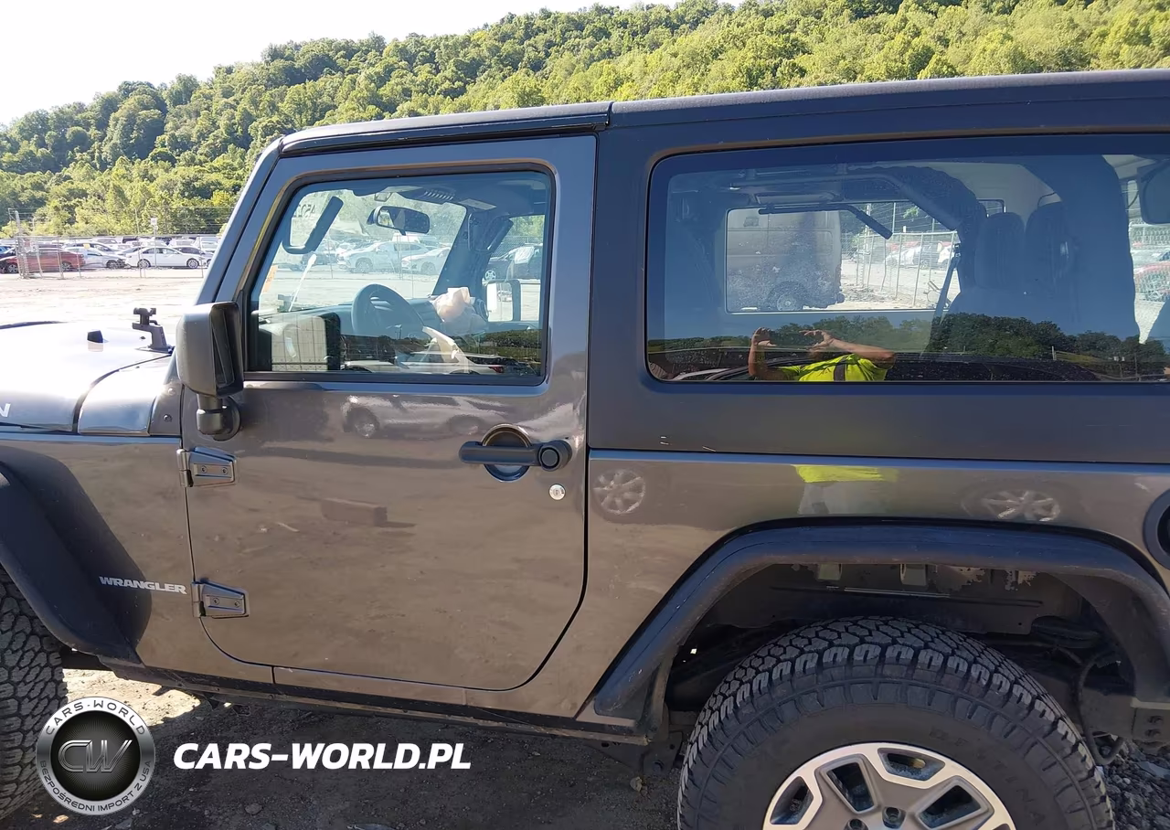2017 Jeep Wrangler Rubicon 4X4 VIN:1C4BJWCGXHL508701 - 15
