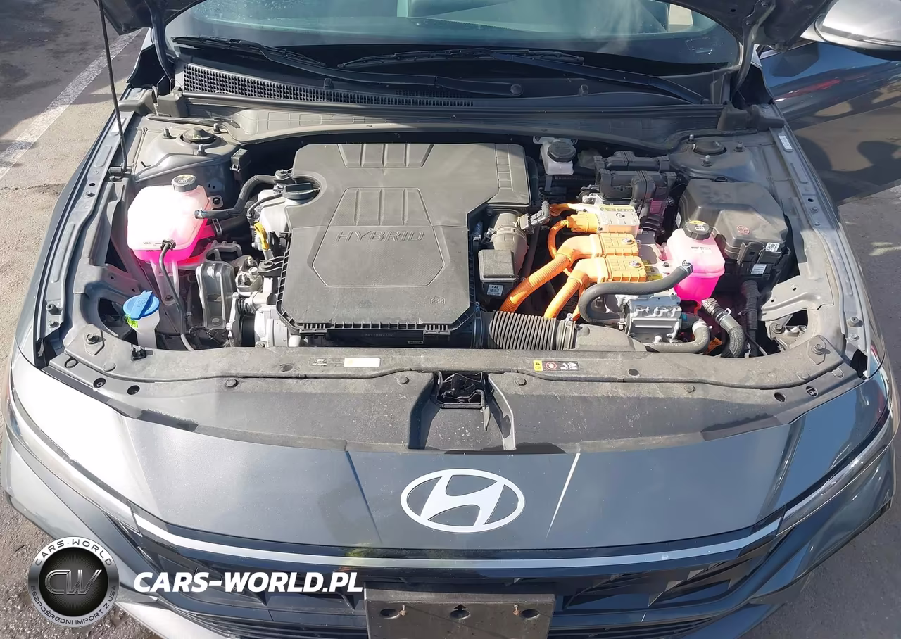 2024 Hyundai Elantra Hybrid Limited VIN:KMHLN4DJ8RU107856 - 10