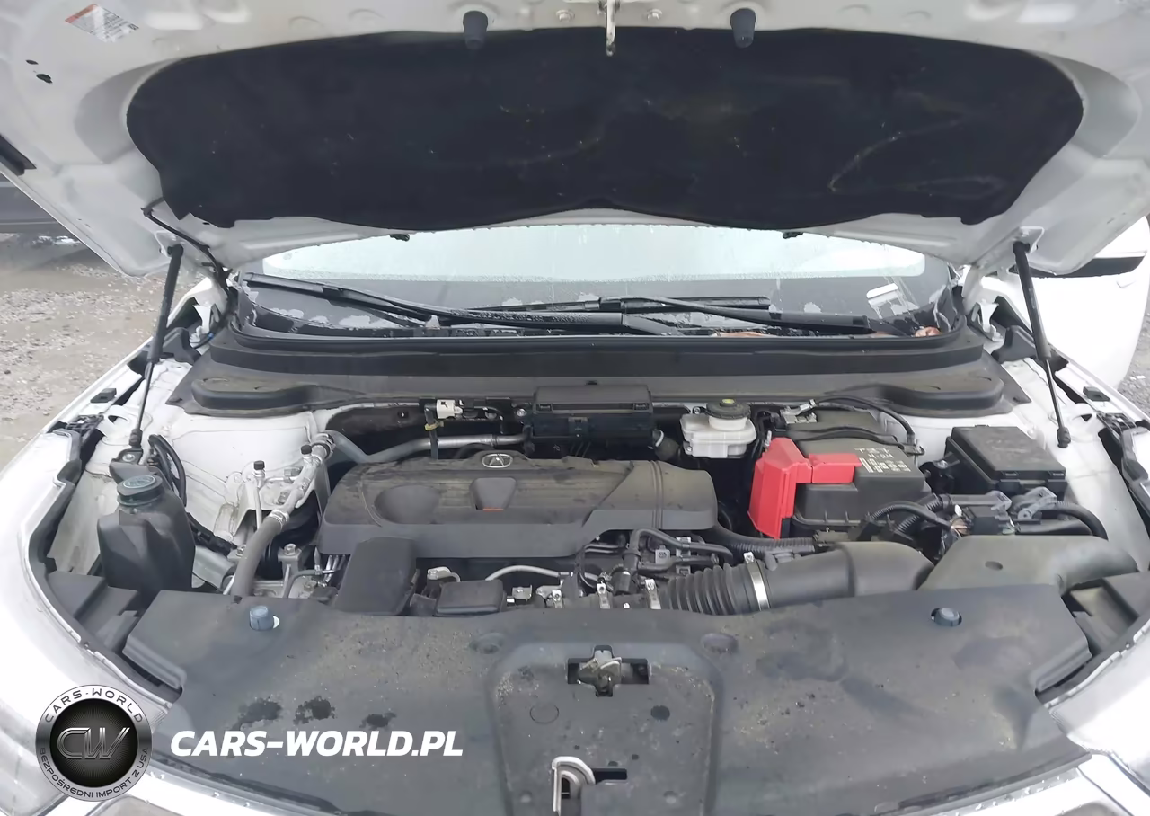 2020 Acura Rdx Advance Package VIN:5J8TC2H7XLL030516 - 10