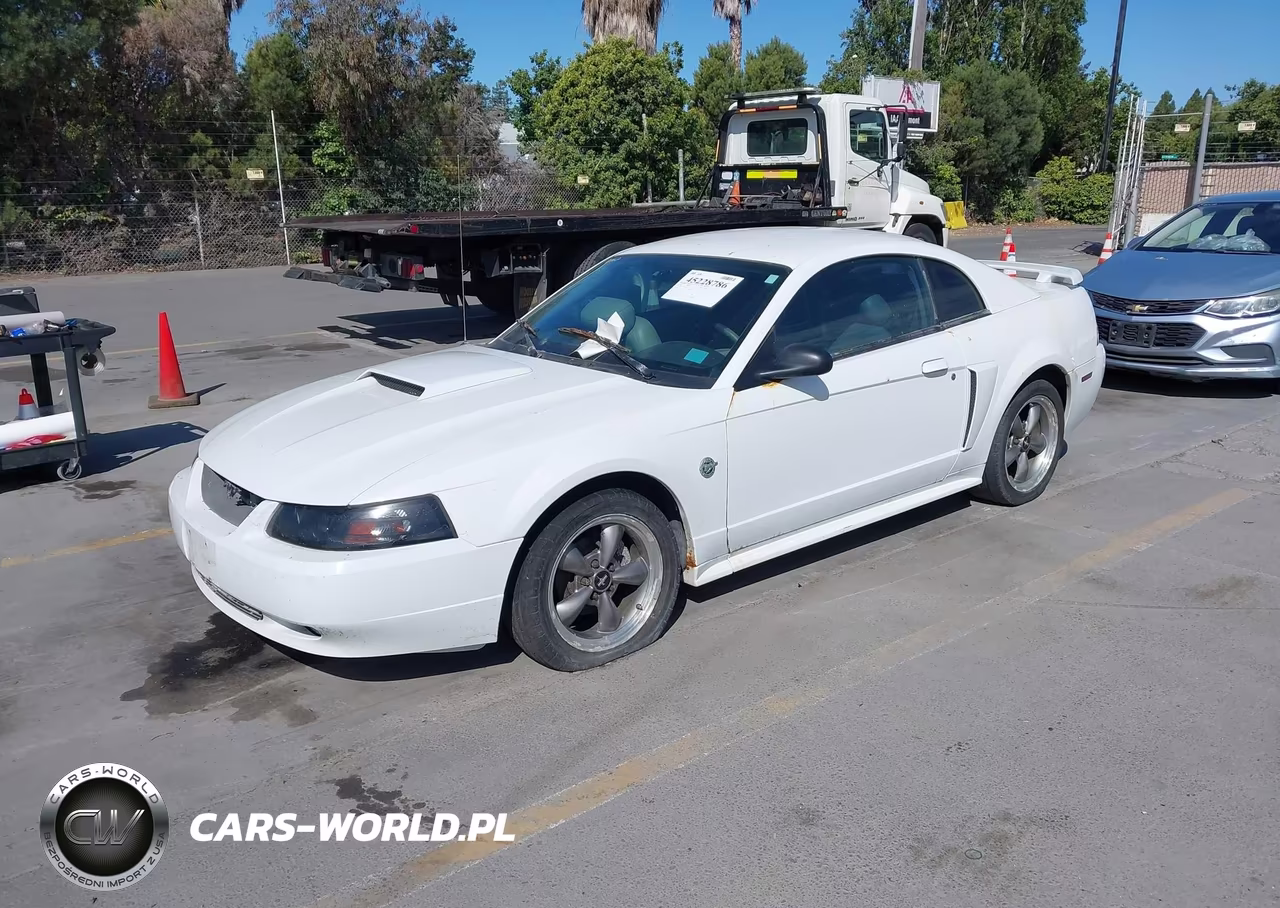 2004 Ford Mustang Gt VIN:1FAFP42X04F111289 - 2